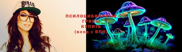 гидра Протвино
