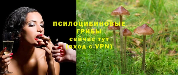 мет Приозерск